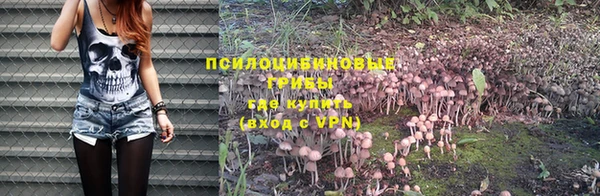гидропоника Аркадак