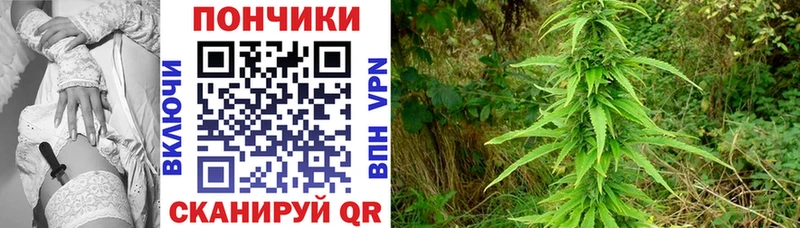 Шишки марихуана тримм  где купить наркоту  Болотное 